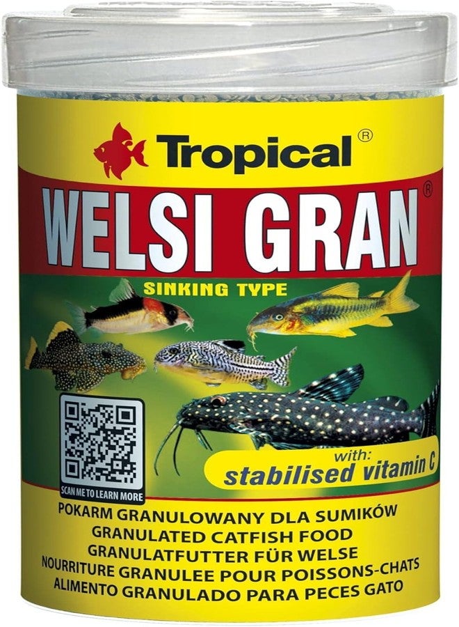 Tropical Welsi Gran Daily Feeding of Omnivorous and Carnivorous Fish (for Catfish, loaches, Catfish, and Algae Eaters) 100ml/65g - 60463 - Image 1
